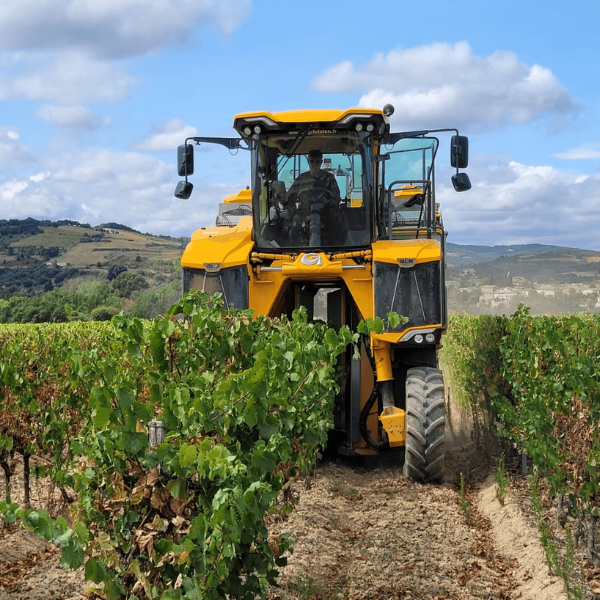 domaine-viticole-vin-carcassonne-galerie-11