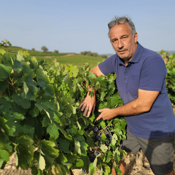 domaine-viticole-vin-carcassonne-galerie-2