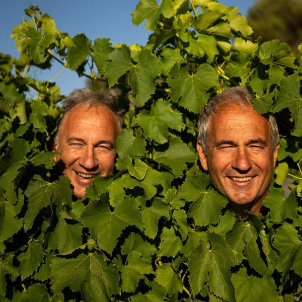 domaine-viticole-vin-carcassonne-galerie-9