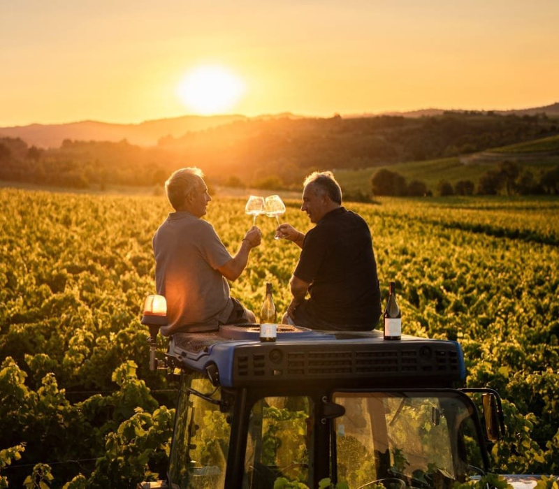 domaine-viticole-carcassonne-saint-martin